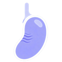 Endocrinology Icon