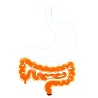 Gastroenterology Icon
