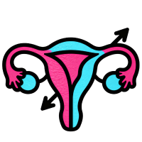 Iui Icon