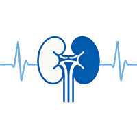 Nephrology Icon