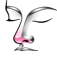 Rhinoplasty Icon