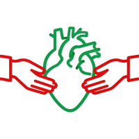 Transplant Surgery Icon